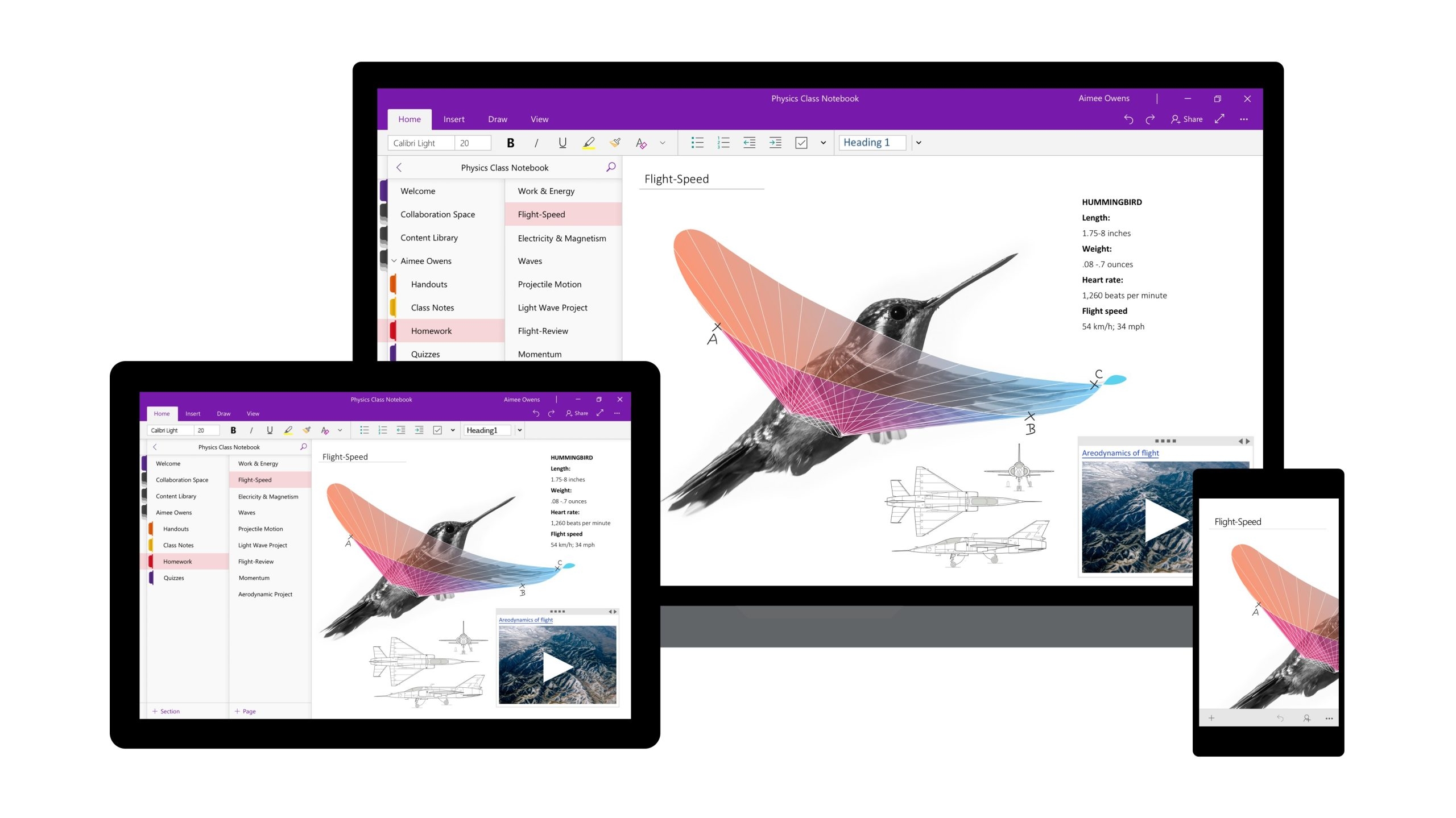 OneNote for Windows 10 (Legacy) screenshot 8