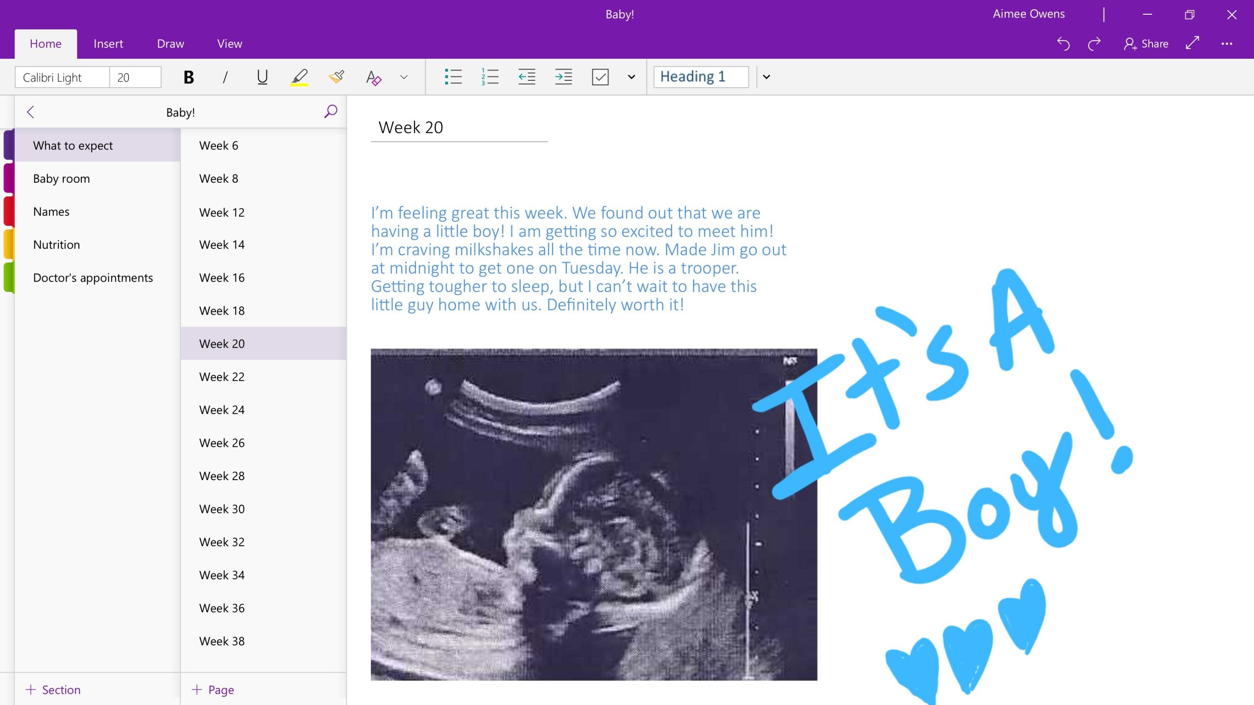 OneNote for Windows 10 (Legacy) screenshot 4