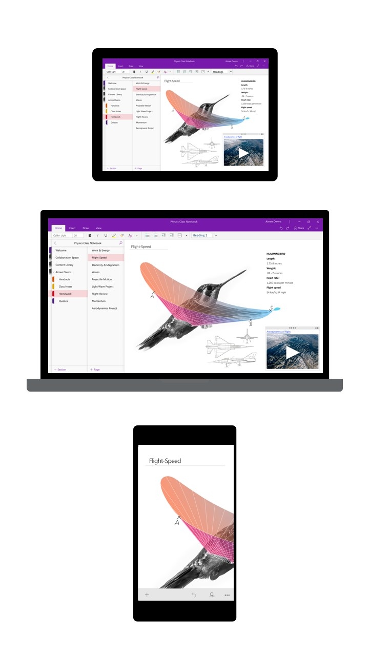 OneNote for Windows 10 (Legacy) screenshot 7